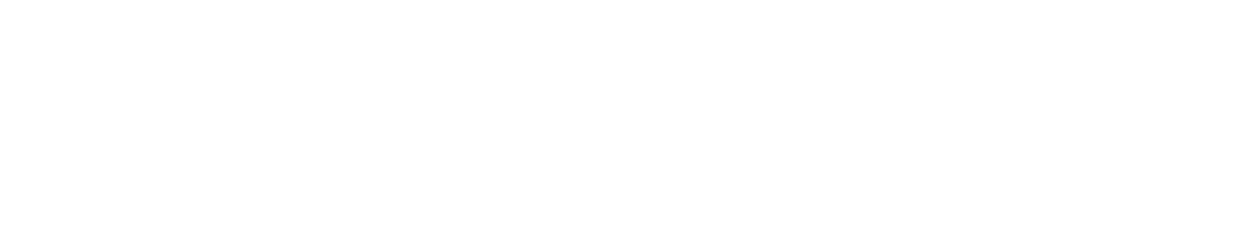 hollyshirt logo